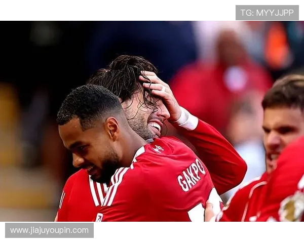 阿诺德庆胜索博维尼热评社媒赞